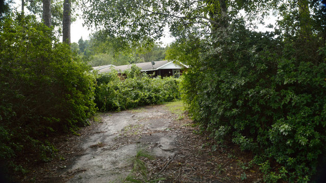 EF0 Tornado Damage in North Florida