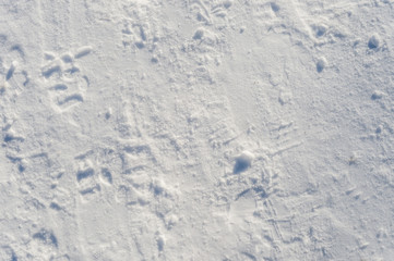 Snow texture