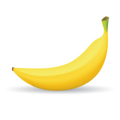 Banana Fruit Illustration