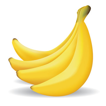 Bananas Fruit Illustration