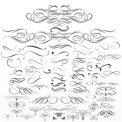 Set of vector calligraphic elements and page decorations - obrazy, fototapety, plakaty