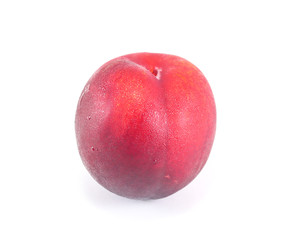 Red plum with water droplet