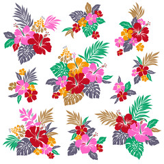 ハイビスカスのイラスト