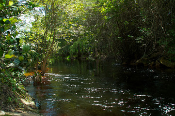 Imperial River bonita springs florida flowing towards viewer