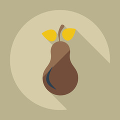 Flat modern design with shadow icons pear