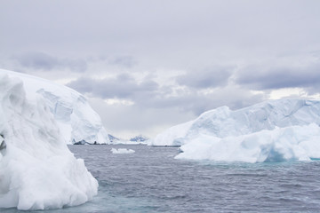 Fototapeta na wymiar Icebergs in Palmer Archipelago, Antarctica