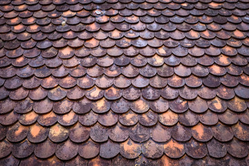 Wood Roofing / Wood roofing on perspective view
