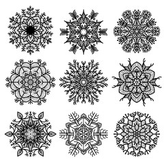 Set of beautiful snowflakes with  ornate  delicate pattern.