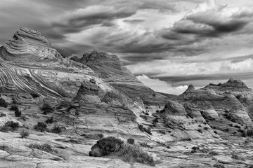 View of stone desert in Coyote Buttes North wilderness area, Arizona, USA