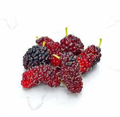 mulberry 