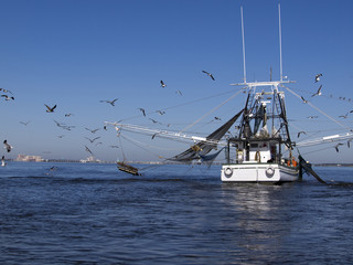 Fototapeta na wymiar Shrimp Boat along Gulf Coast