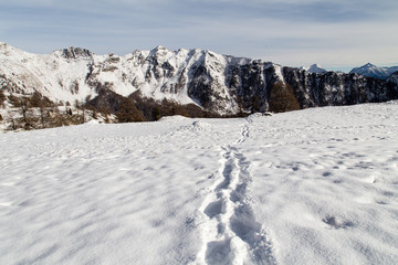 Fototapeta na wymiar Paesaggio Alta montagna - inverno - val d'aosta - italia