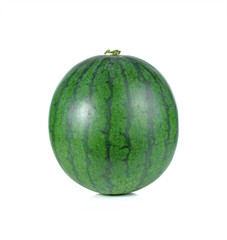 watermelon on white background