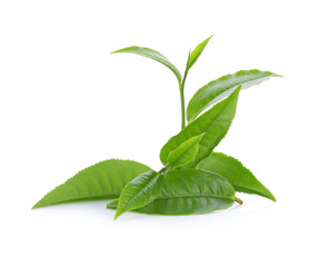 green tea leaf isolated on white background