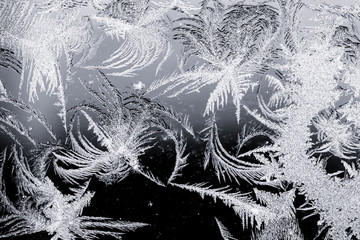 Frosted Winter Ice Crystals on Glass