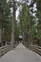 高野山奥の院です。毎日お大師様のいらっしゃる御廟に食事「生身供（しょうじんぐ）」が届けられます。撮影が許可されている御廟橋手前から撮影いたしました。