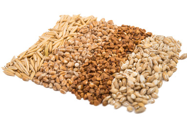 barley, wheat, buckwheat, oats