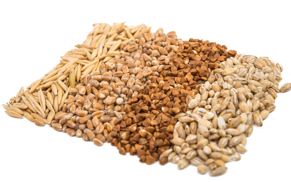 barley, wheat, buckwheat, oats