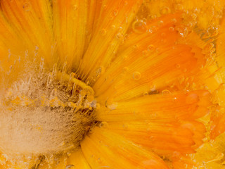 bright orange abstract organic ice