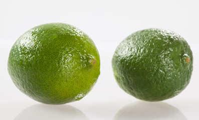 Limes on white background