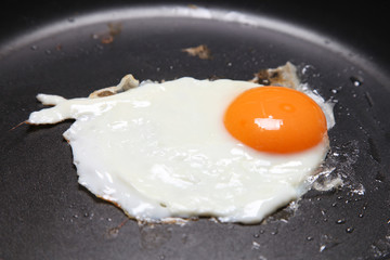 Fried Egg