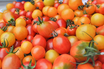 Cherry tomato vegetables