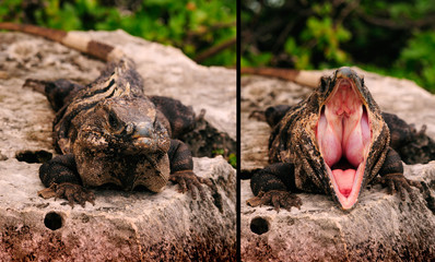 Better don't anger me