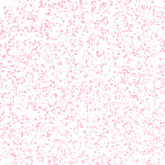 Pink Flower Petals Texture