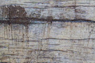 Old wood background