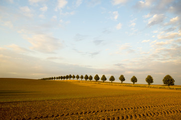 Jesień na polu © Mike Mareen