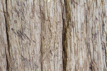 Old wood background