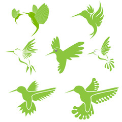 Humming Bird Set