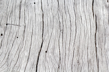  fond texture bois sec, vieux tronc d'arbre blanchi par le temps 
