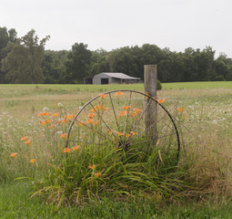 Vintage Wagon Wheel
