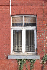 Fototapeta na wymiar Einfach verglastes Sprossenfenster