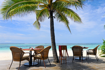 tropical restaurant under palm trees