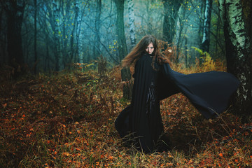 Mysterious woman walking in magical forest - obrazy, fototapety, plakaty