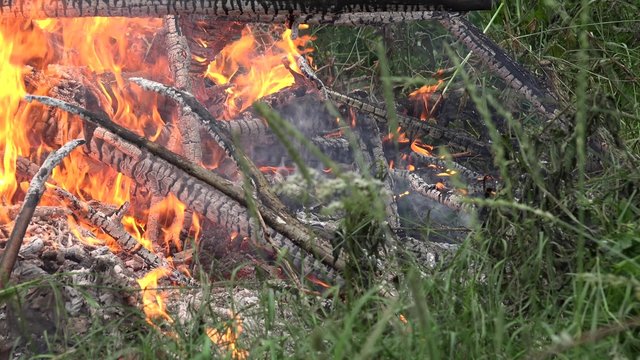 close up of tree branches burn smoulder char in orange flame fire on grass. 4K UHD video clip. 
