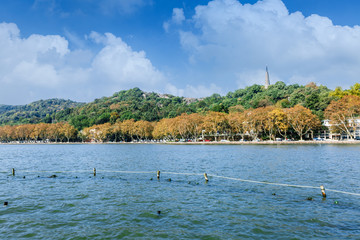Hangzhou west lake beautiful scenery in the autumn, China