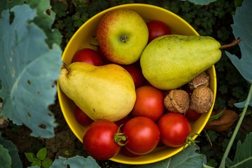 Autumn garden products