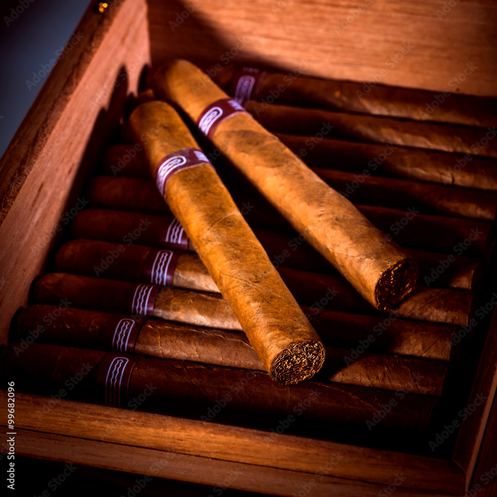 Canvas Prints cigars in humidor