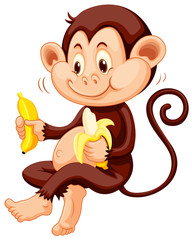 Little monkey eating bananas