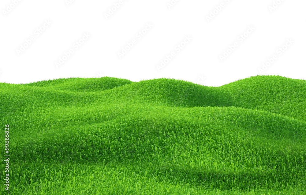 Wall mural Green grass growing on hills with white background top view