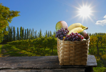 fruit basket on the farm with grape, mango, banana.