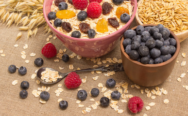 Healthy porridge with fruits on canvas