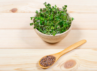 Fresh radish sprouts on a wooden background.