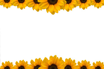 Sunflower Presentation Template with White Background
