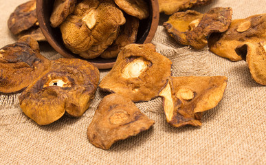 Fototapeta premium Dried mushrooms on canvas