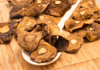 Dried mushrooms on canvas