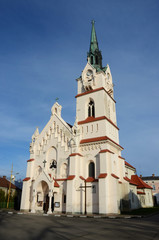 Fototapeta na wymiar Our Lady Protectress catholic neo-gothic church in Stryi,Ukraine